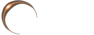 Vikxie Logo